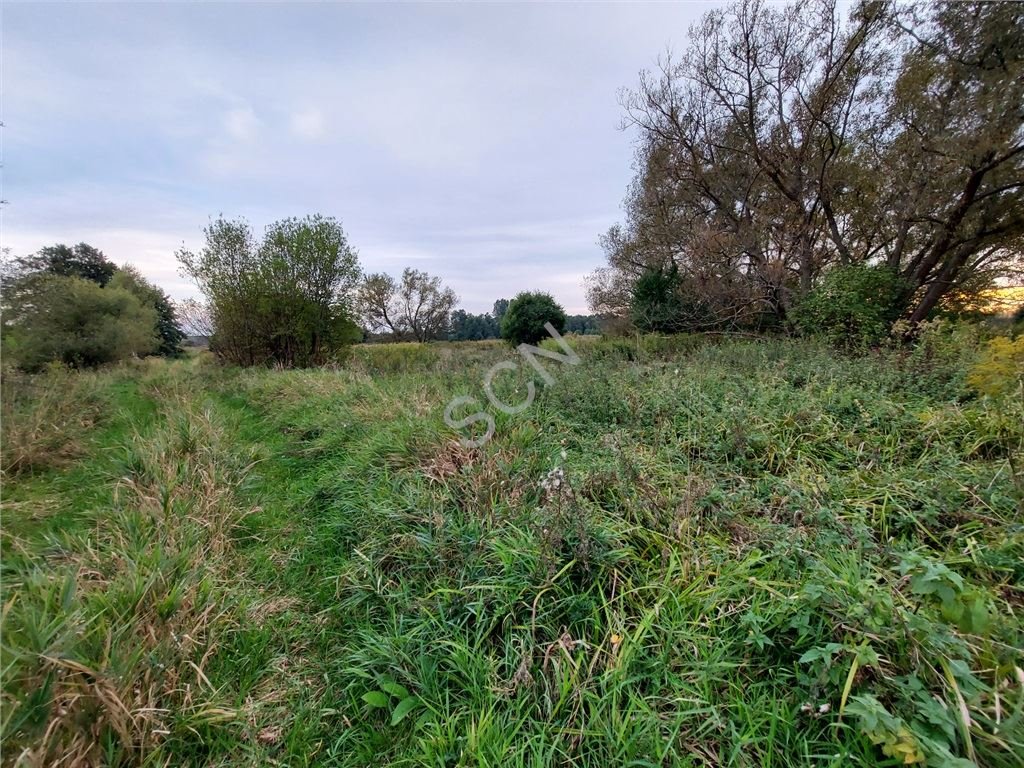 Działka budowlana na sprzedaż Duchnów  1 000m2 Foto 4