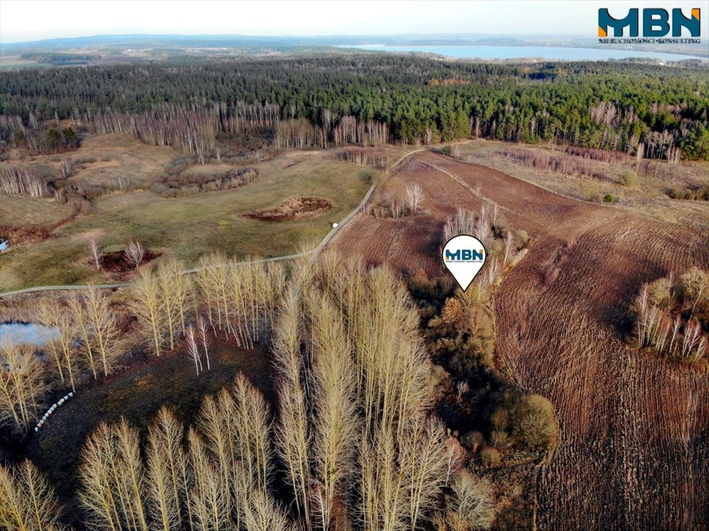 Działka budowlana na sprzedaż Wyłudy, Wyłudy  38 864m2 Foto 6