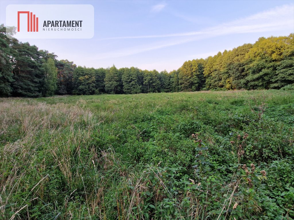 Działka 1,83ha z lasem i jeziorem - spokój i aktywność. Gościeszyn  18 300m2 Foto 1