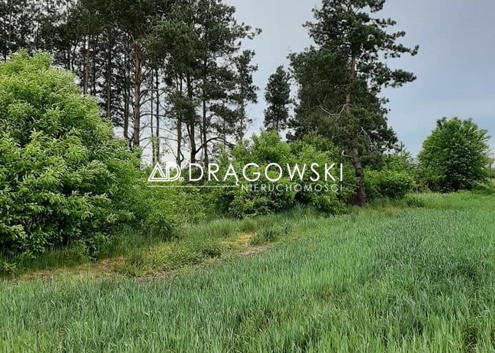 Działka w Chylicach 5700 m² z domkiem do remontu Chylice  5 700m2 Foto 1