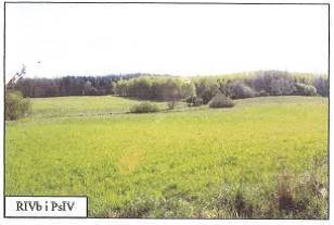 Działka rolna na sprzedaż Karsibór  24 625m2 Foto 5