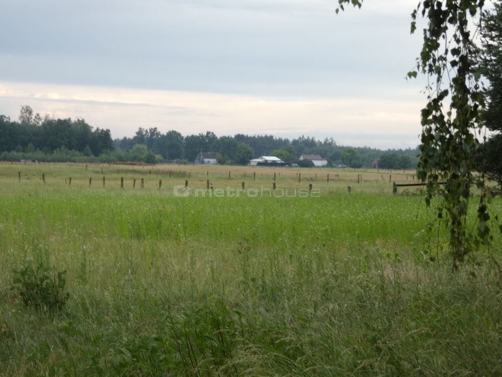 Działka inna na sprzedaż Nowa Mała Wieś  1 000m2 Foto 2