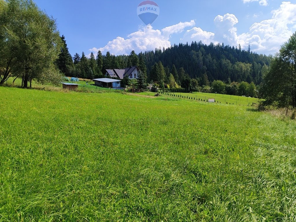 Działka budowlana na sprzedaż Łapsze Niżne  8 873m2 Foto 8