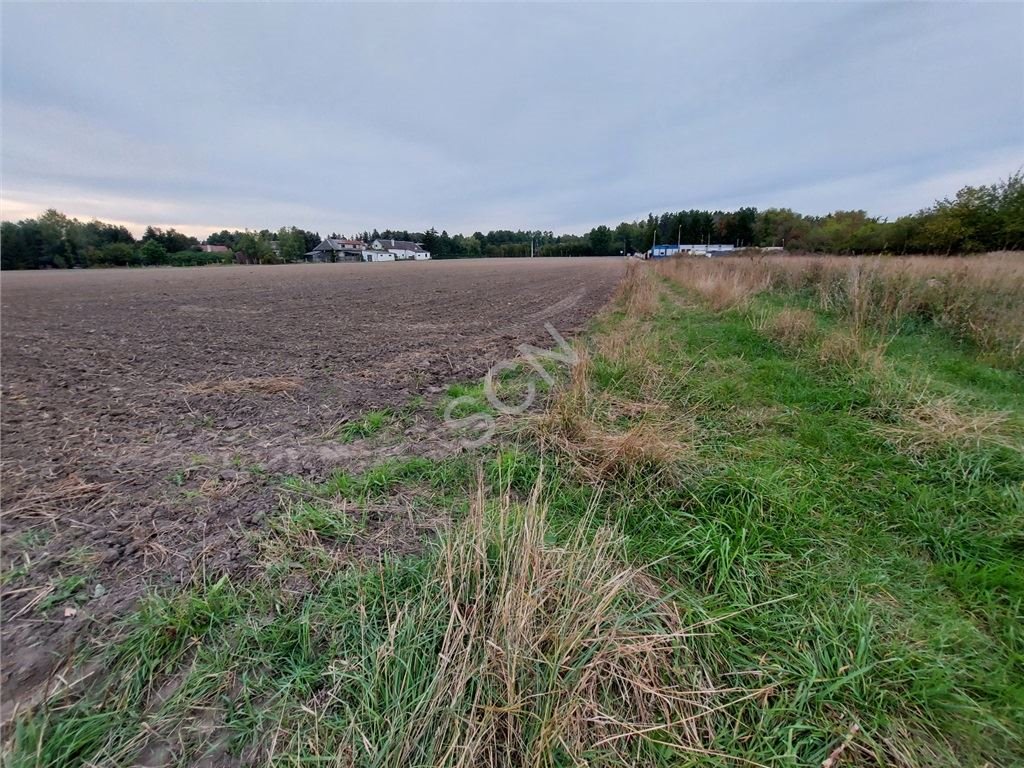 Działka budowlana na sprzedaż Duchnów  1 000m2 Foto 3