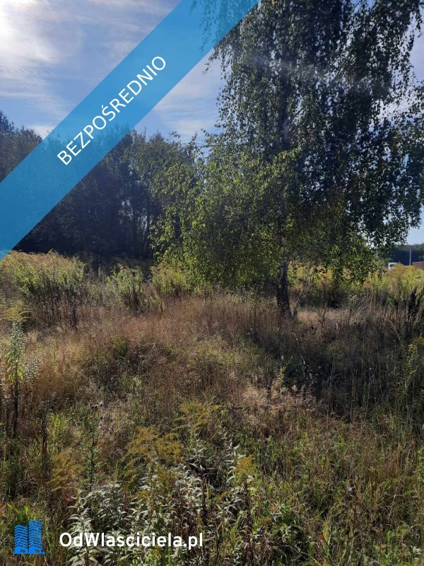 Działka budowlana 1160 m² w Ojrzanowie z mediami i planem Ojrzanów, Złoty Łan  1 160m2 Foto 1