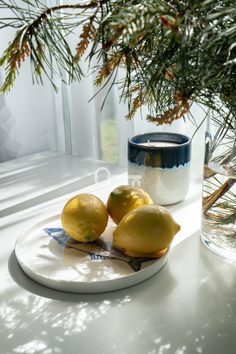 Mieszkanie trzypokojowe na sprzedaż Stegna, Grunwaldzka  40m2 Foto 10