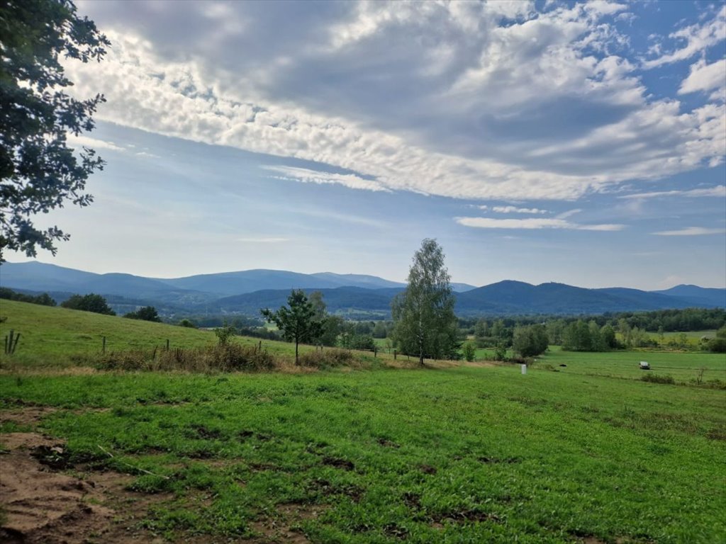 Działka budowlana na sprzedaż Jelenia Góra, Walerego Wróblewskiego  3 445m2 Foto 2