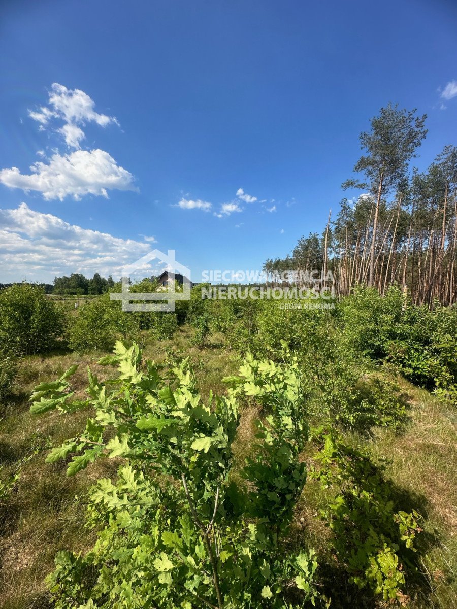 Działka budowlana na sprzedaż Stężyca  1 190m2 Foto 4