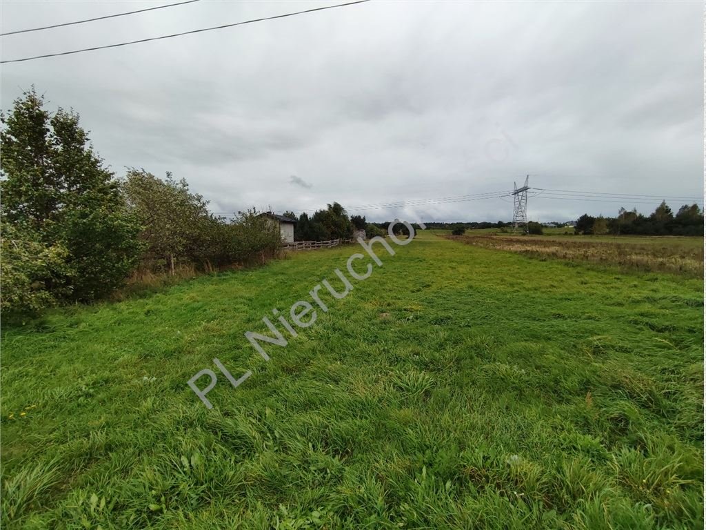 Działka 13 200 m² w otulinie Kampinoskiego Parku Narodowego Grabnik  13 200m2 Foto 1