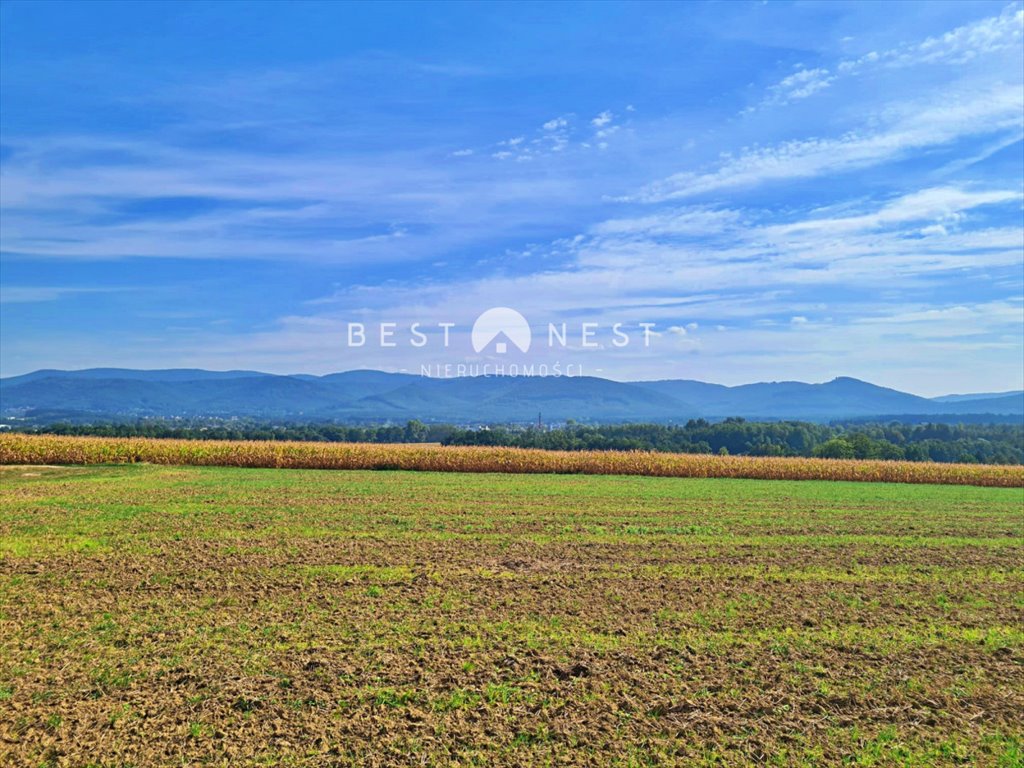 Działka budowlana na sprzedaż Jasienica  10 340m2 Foto 3