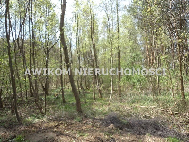 Działka siedliskowa na sprzedaż Grodzisk Mazowiecki, Radonie  15 300m2 Foto 1