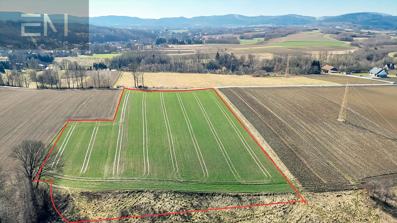 Działka 11 900 m² z widokiem na Strzyżów i las Wysoka Strzyżowska  11 900m2 Foto 1