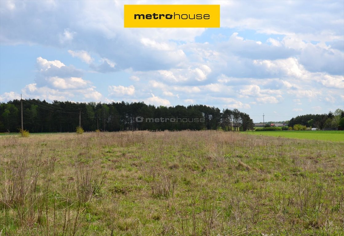 Działka 16 357 m² z mediami, las, inwestycja w Dąbrowie Dąbrowa  16 357m2 Foto 1