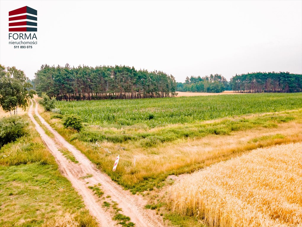 Działka leśna na sprzedaż Pięczkowo, Pięczkowo, sportowa 212/1  35 280m2 Foto 9