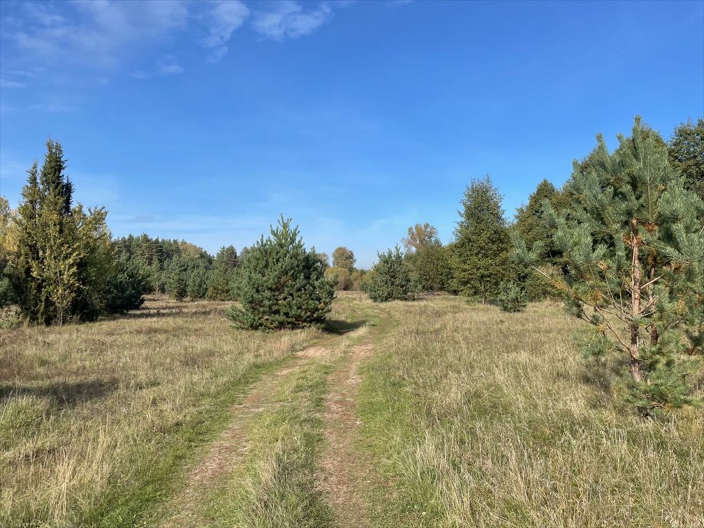 Działka rolna na sprzedaż Michałowo  38 400m2 Foto 12