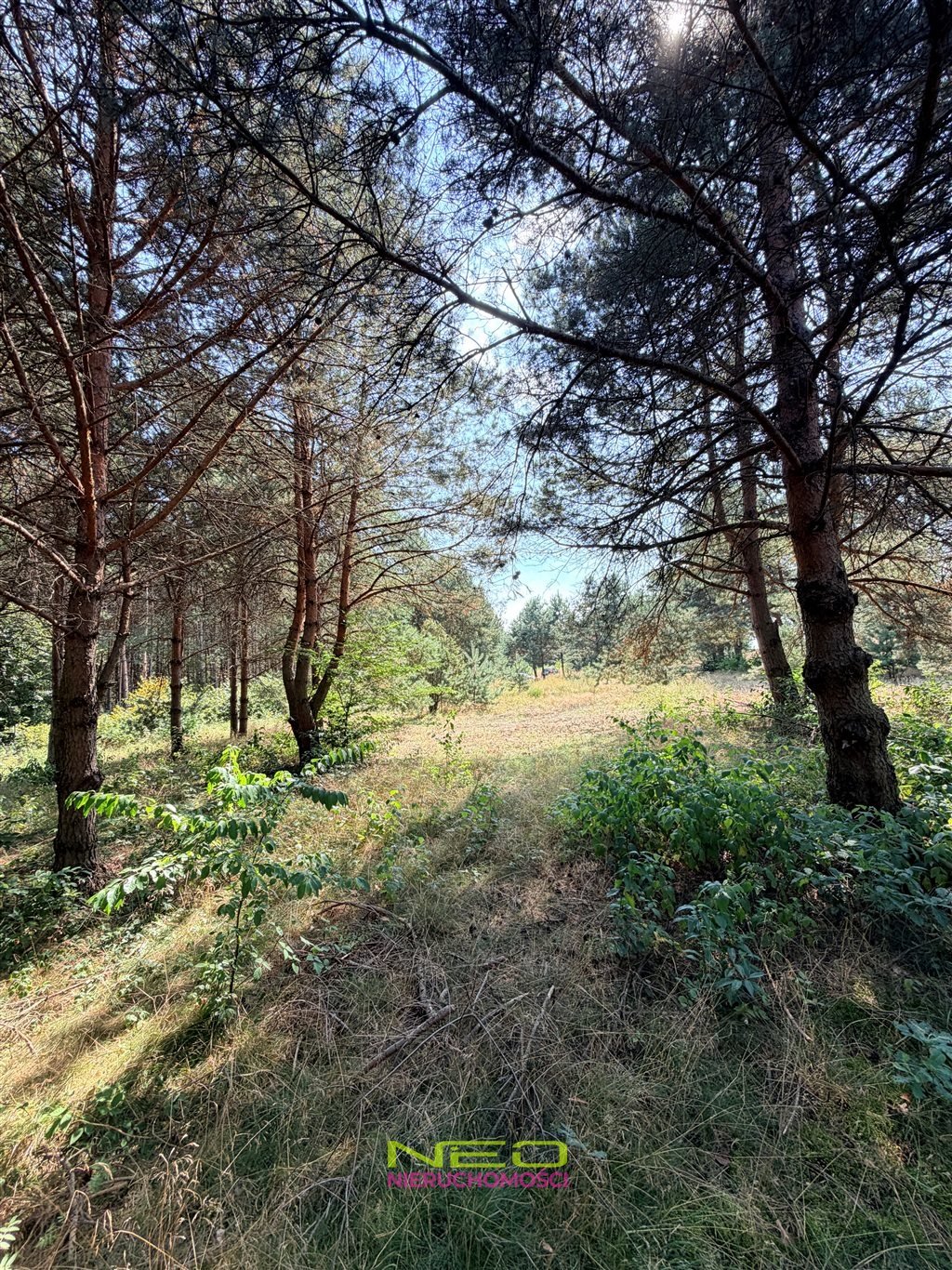 Działka 2866 m² w Biskupicach (las, rezerwat Sokole Góry) Biskupice  2 866m2 Foto 1