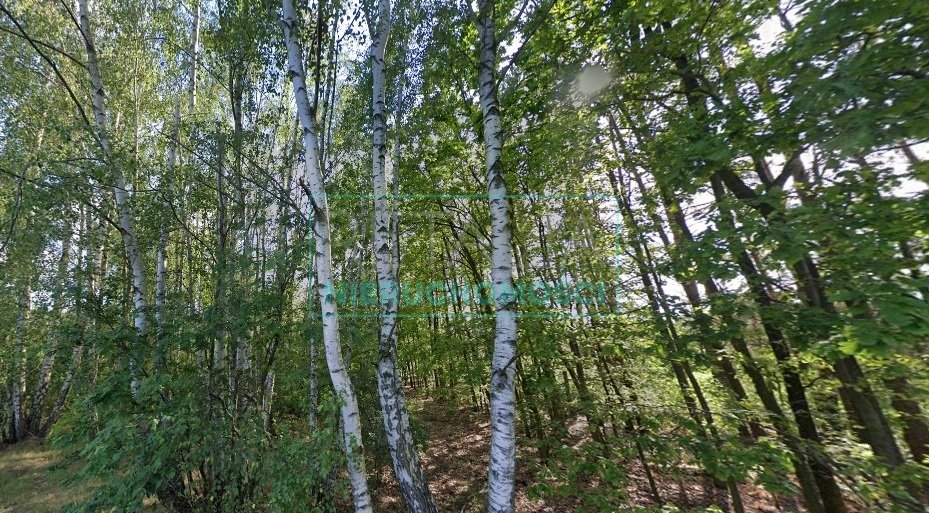 Działka budowlana na sprzedaż Budy Zosine  1 768m2 Foto 1