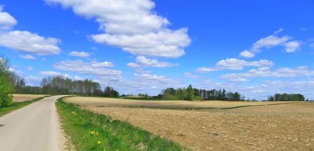 Działka rolna na sprzedaż Raczki  86 000m2 Foto 3