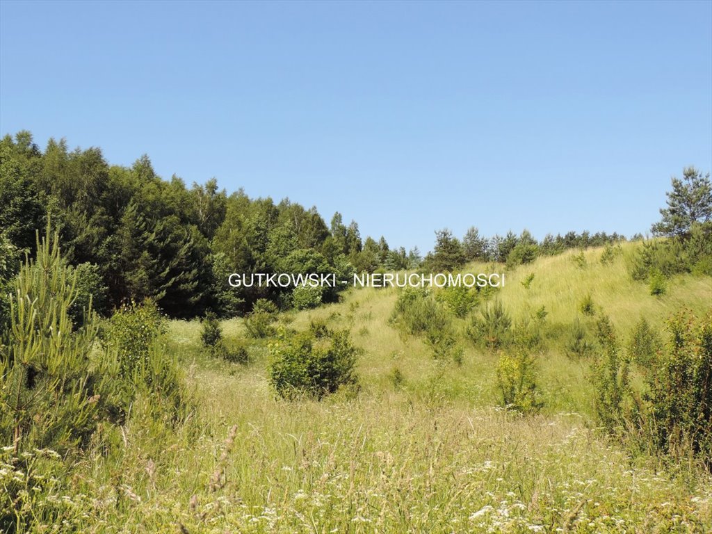 Działka 9606 m2 z warunkami zabudowy, blisko jezior Bratian, Łąki Bratiańskie  9 606m2 Foto 1