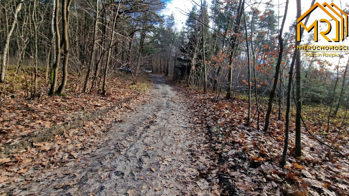 Działka rolna na sprzedaż Stare Żukowice  2 200m2 Foto 16