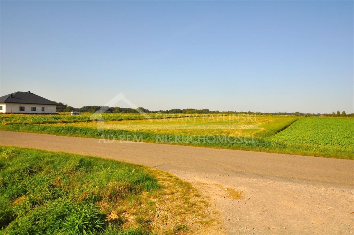 Działka budowlana na sprzedaż Radawiec Mały, Radawiec Mały  2 800m2 Foto 11