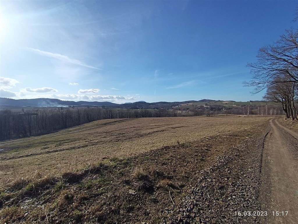 Na sprzedaż działki budowlane z widokiem w Dziećmorowicach Dziećmorowice  1 301m2 Foto 1