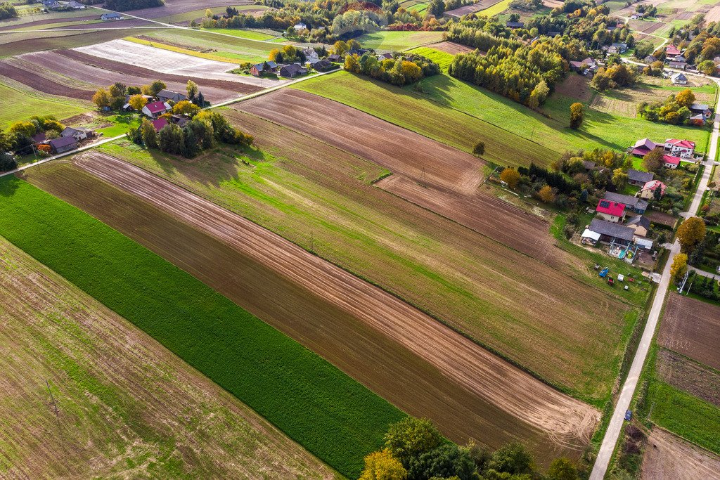 Działka budowlana na sprzedaż Krępa  2 600m2 Foto 7