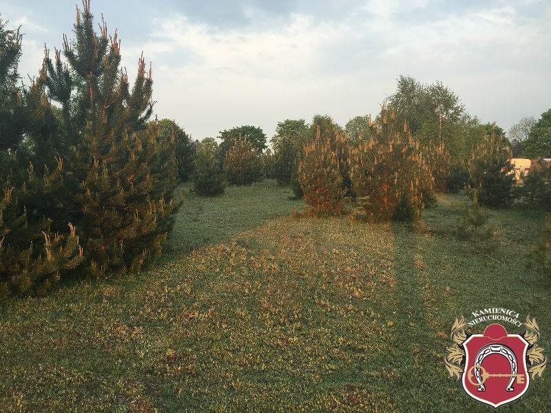 Działka budowlana na sprzedaż Jeleńska Huta 1 144m2 Foto 1 Działka budowlana na sprzedaż Jeleńska Huta 1 144m2 Foto 1