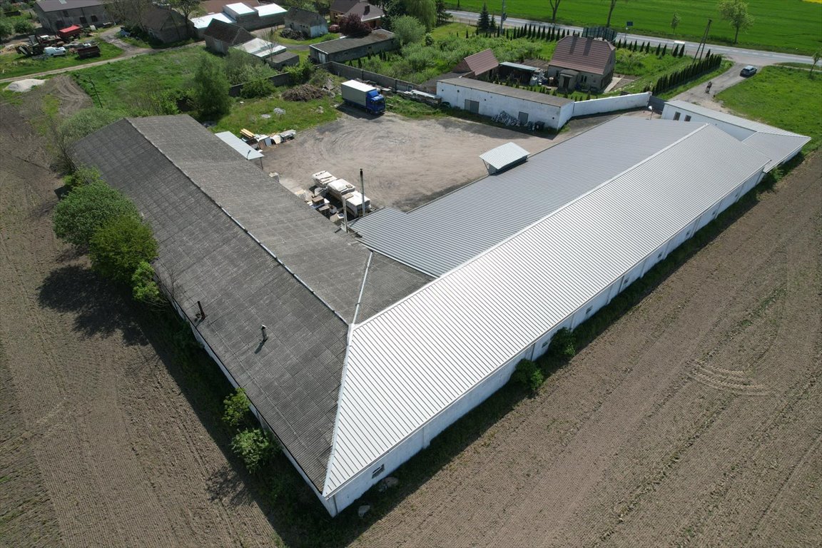 Lokal użytkowy na wynajem Osowo Nowe  2 150m2 Foto 3