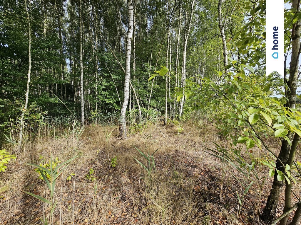 Działka inna na sprzedaż Sobieńki  1 270m2 Foto 16