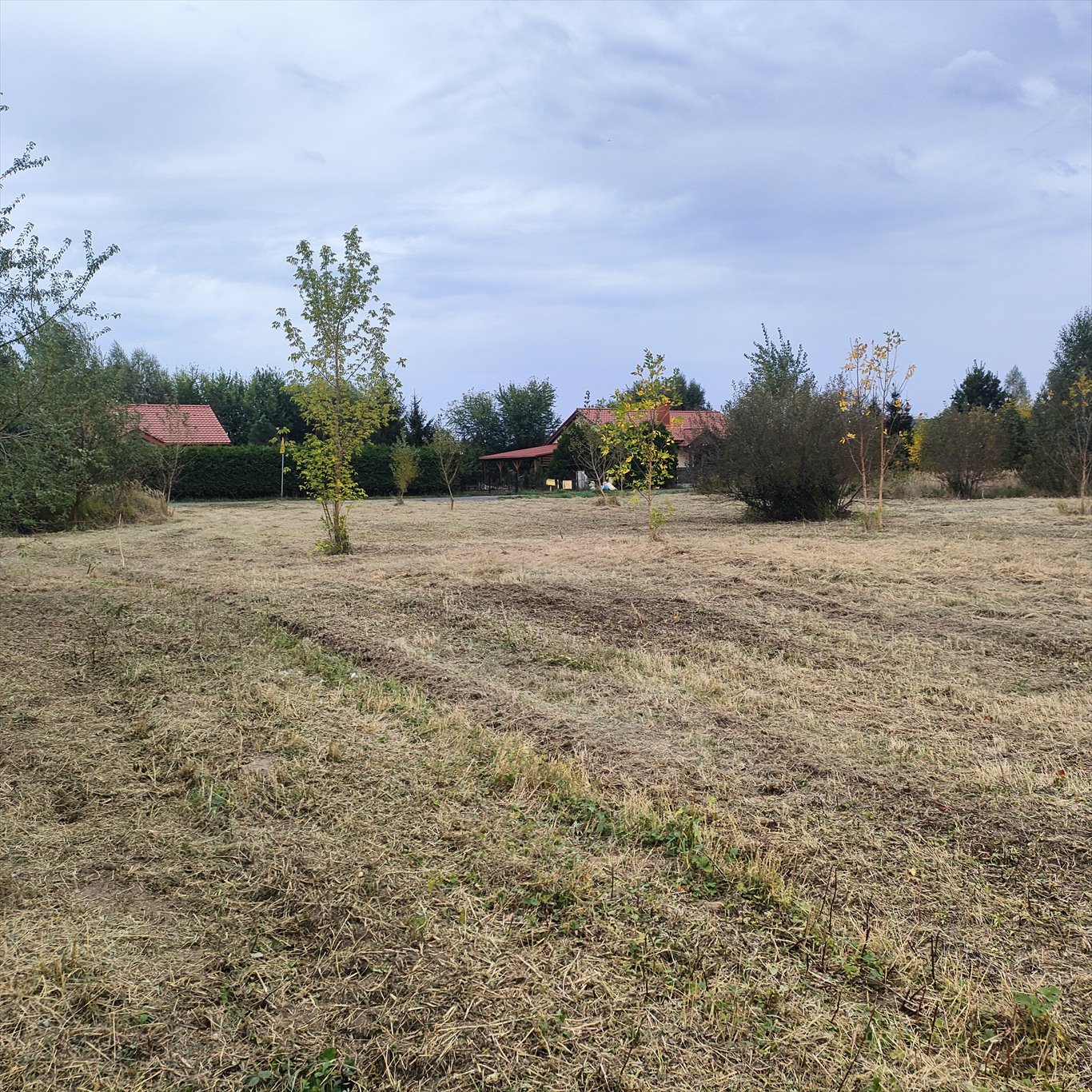 Działka budowlana na sprzedaż Łysomice  2 501m2 Foto 2