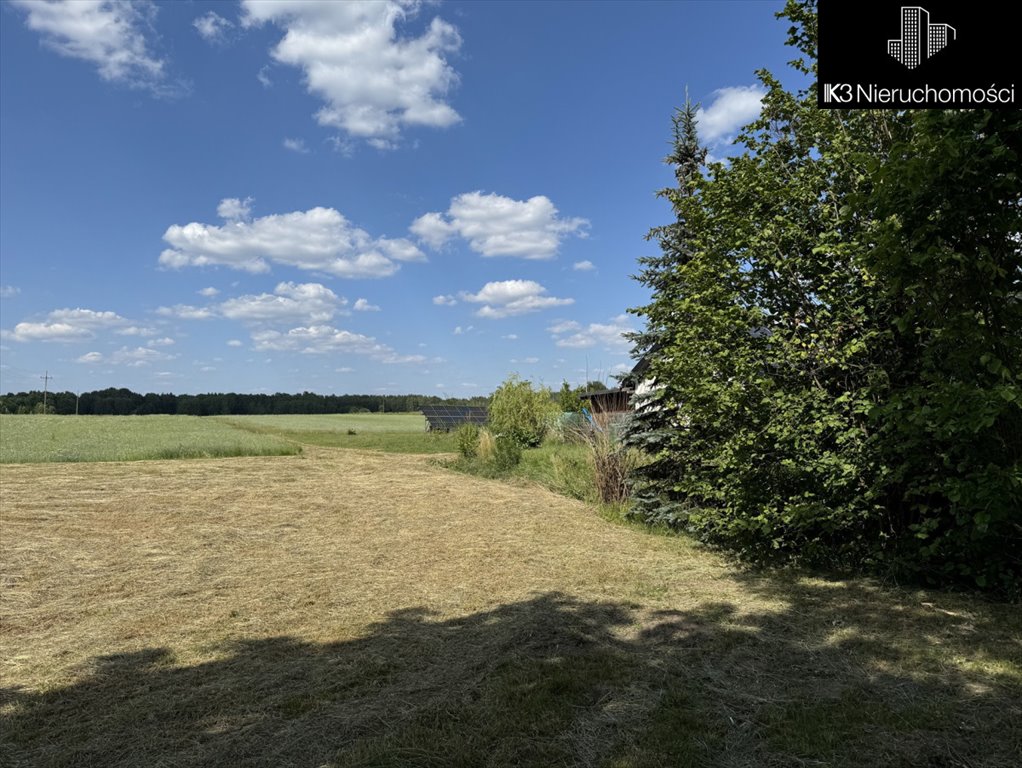 Działka budowlana na sprzedaż Czarna  12 100m2 Foto 4