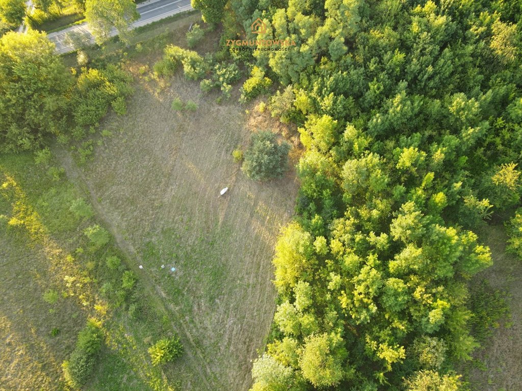 Działka rolna na sprzedaż Nowe Miasto nad Pilicą, Pobiedna, Pobiedna  2 543m2 Foto 7