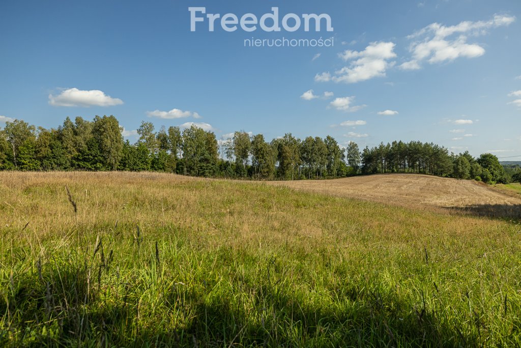 Działka siedliskowa na sprzedaż Niepoczołowice, Zatorze  77 078m2 Foto 16