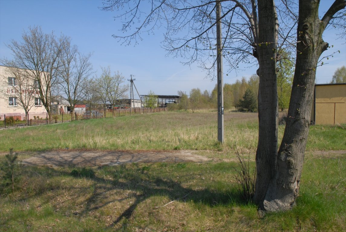 Działka budowlana na sprzedaż Stare Rybitwy, Stare Rybitwy  11 100m2 Foto 5