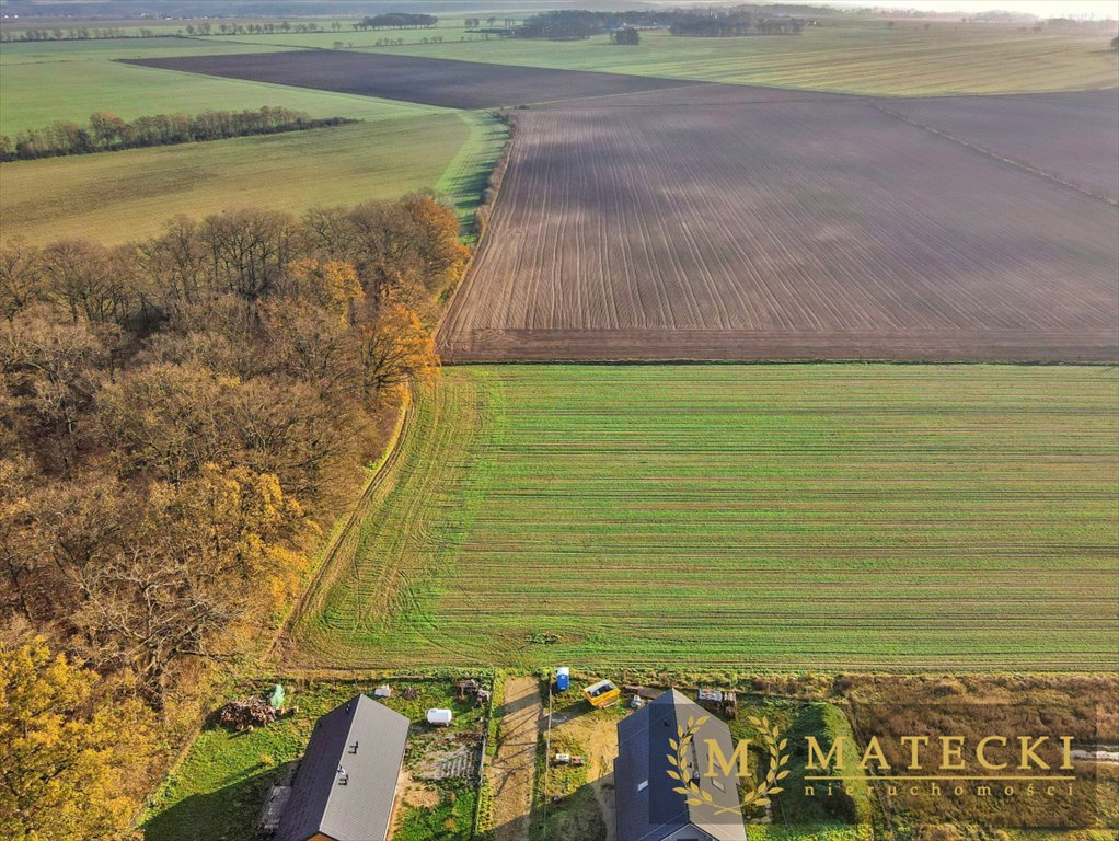 Działka budowlana na sprzedaż Przecław, Leśna  6 204m2 Foto 7