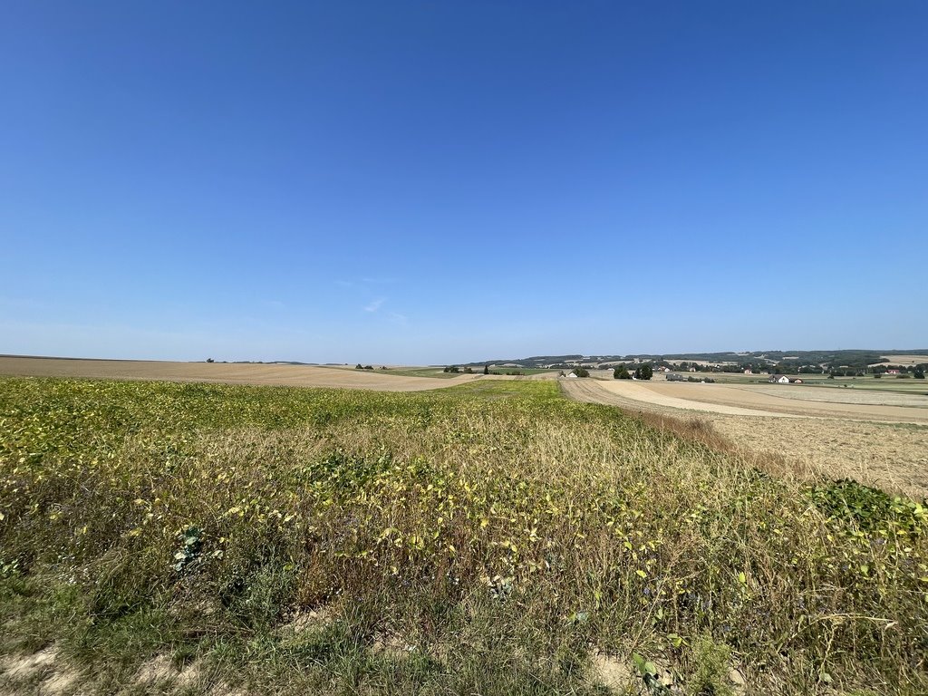 Działka rolna na sprzedaż Będzienica  15 000m2 Foto 4