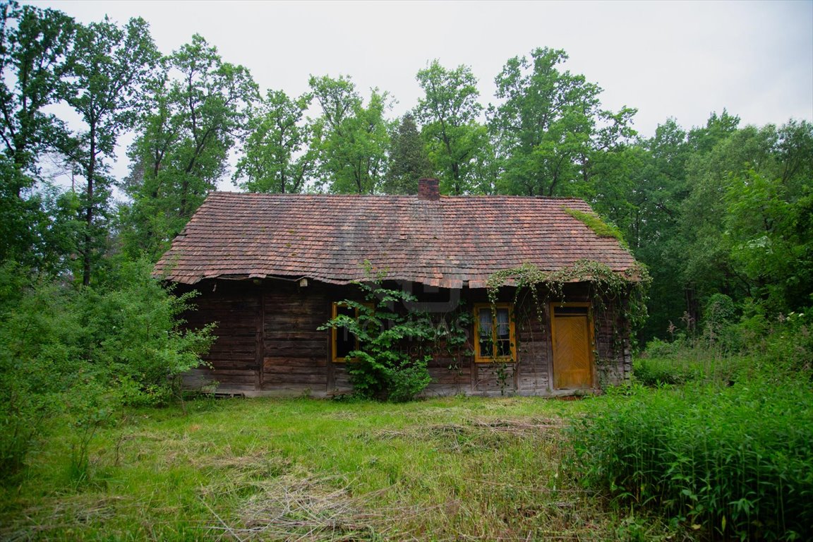 Działka budowlana na sprzedaż Łubnice  1 268m2 Foto 4