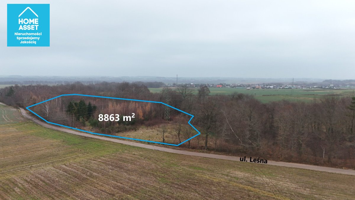 Działka pod zabudowę 3 domów, las, cisza, prywatność Werblinia, Leśna  8 863m2 Foto 1