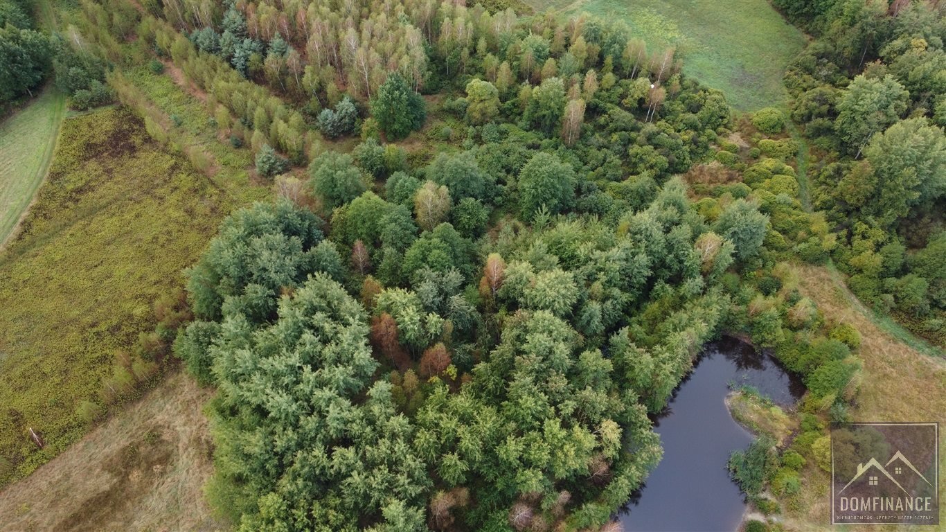 Działka budowlana na sprzedaż Lubasz  7 700m2 Foto 2