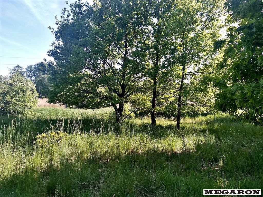 Duża działka 4584 m² w Gnaszynie – idealna pod dom i ogród Częstochowa, Gnaszyn Dolny  4 584m2 Foto 1