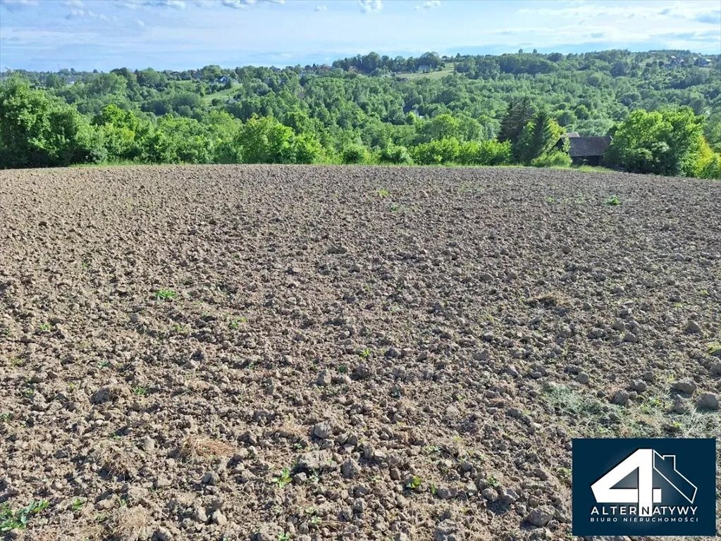 Działka budowlana na sprzedaż Sygneczów, Sygneczów 1  3 000m2 Foto 3