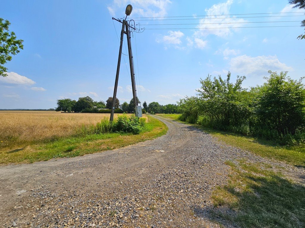 Działka inna na sprzedaż Nowodwór  2 829m2 Foto 11