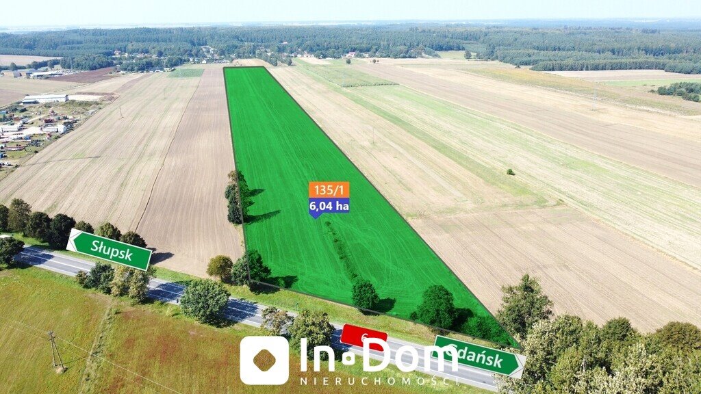 Działka rolna na sprzedaż Stara Dąbrowa  60 400m2 Foto 1