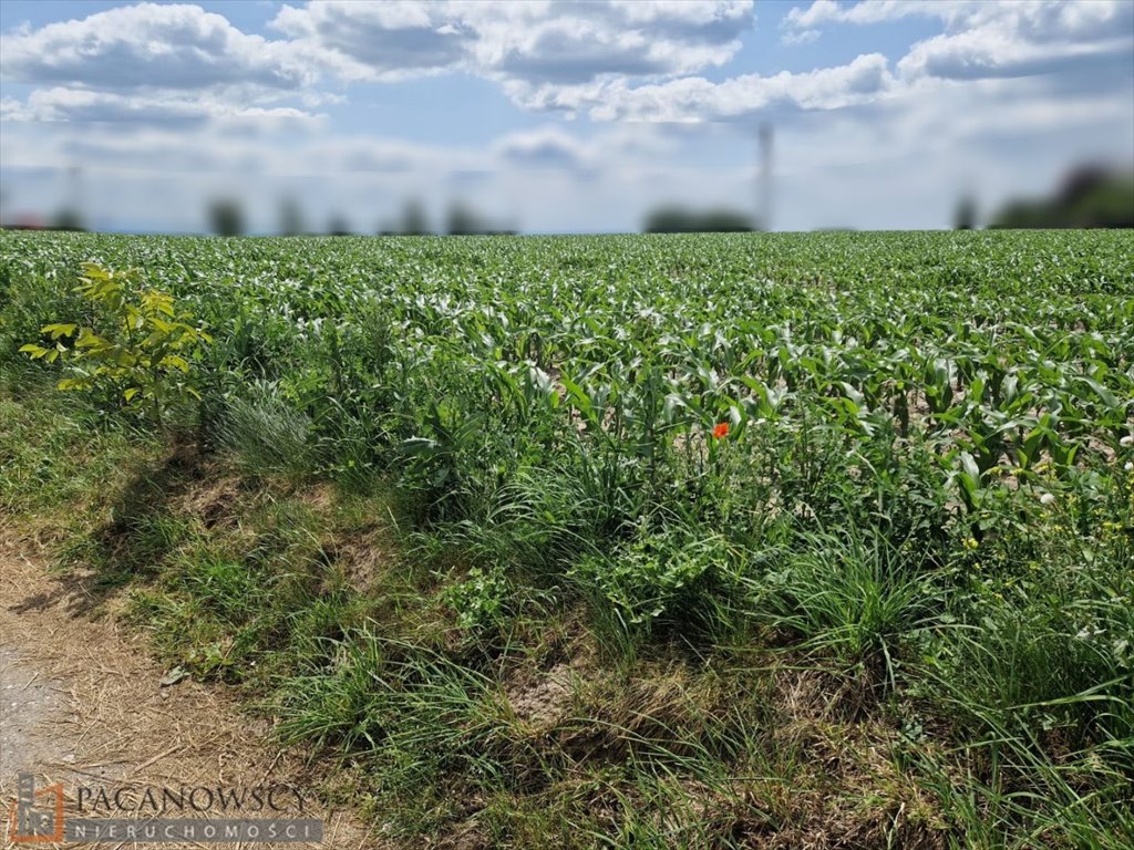 Działka budowlana na sprzedaż Dojazdów  919m2 Foto 1