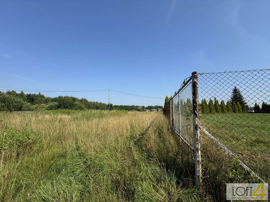 Działka budowlana na sprzedaż Łęki  3 600m2 Foto 3