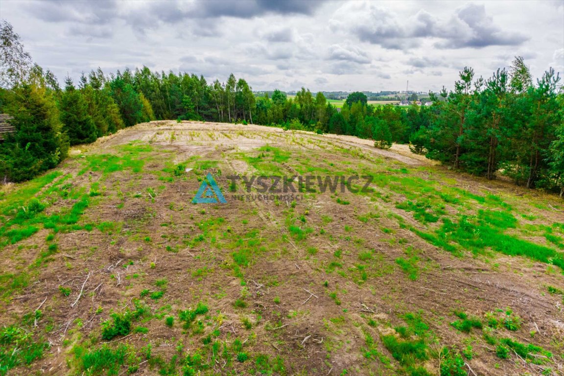 Działka budowlana na sprzedaż Trzebuń  1 800m2 Foto 12