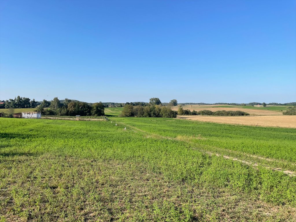 Działka rekreacyjna na sprzedaż Linowo  1 000m2 Foto 7