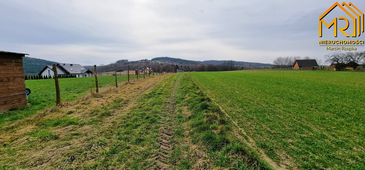 Działka inna na sprzedaż Brzozowa  12 789m2 Foto 15