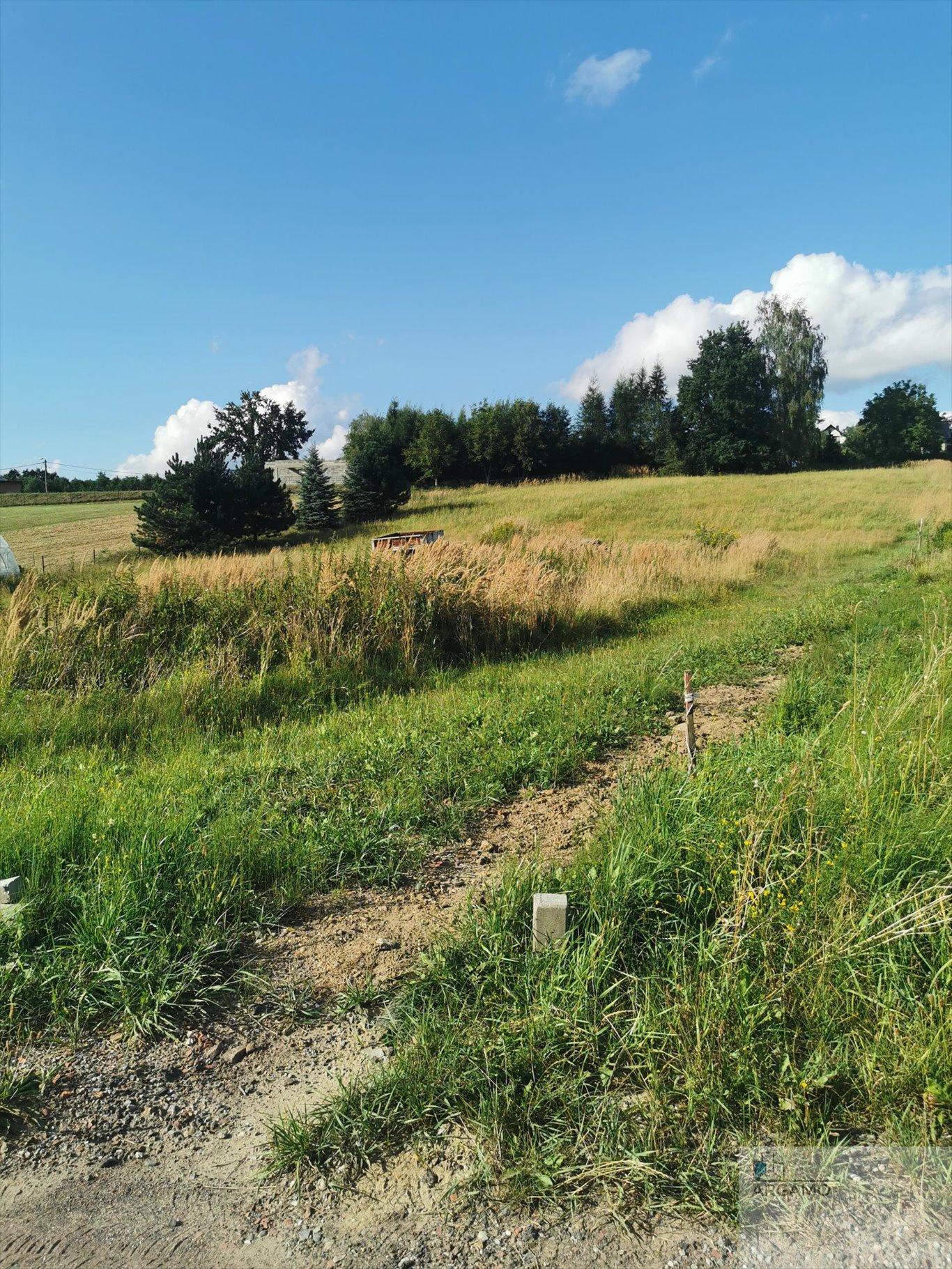 Działka budowlana na sprzedaż Wodzisław Śląski  990m2 Foto 8